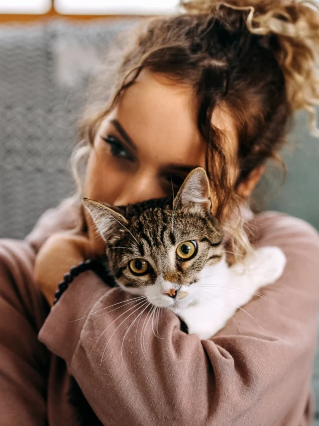 14 Best Cat Breeds for New Owners: Find Your Perfect Match